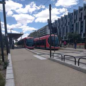 Trams
